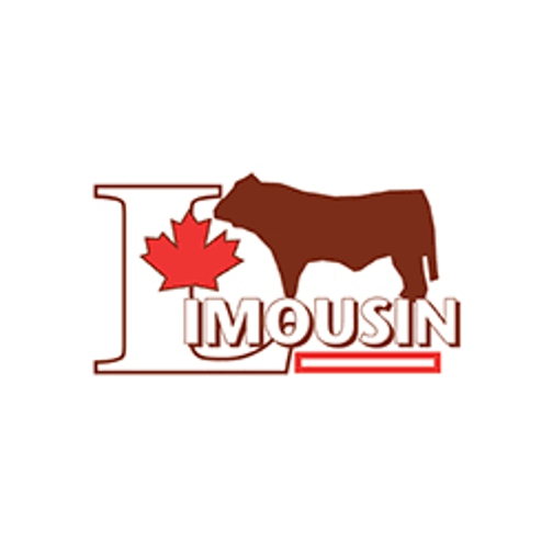 canadian-limousin